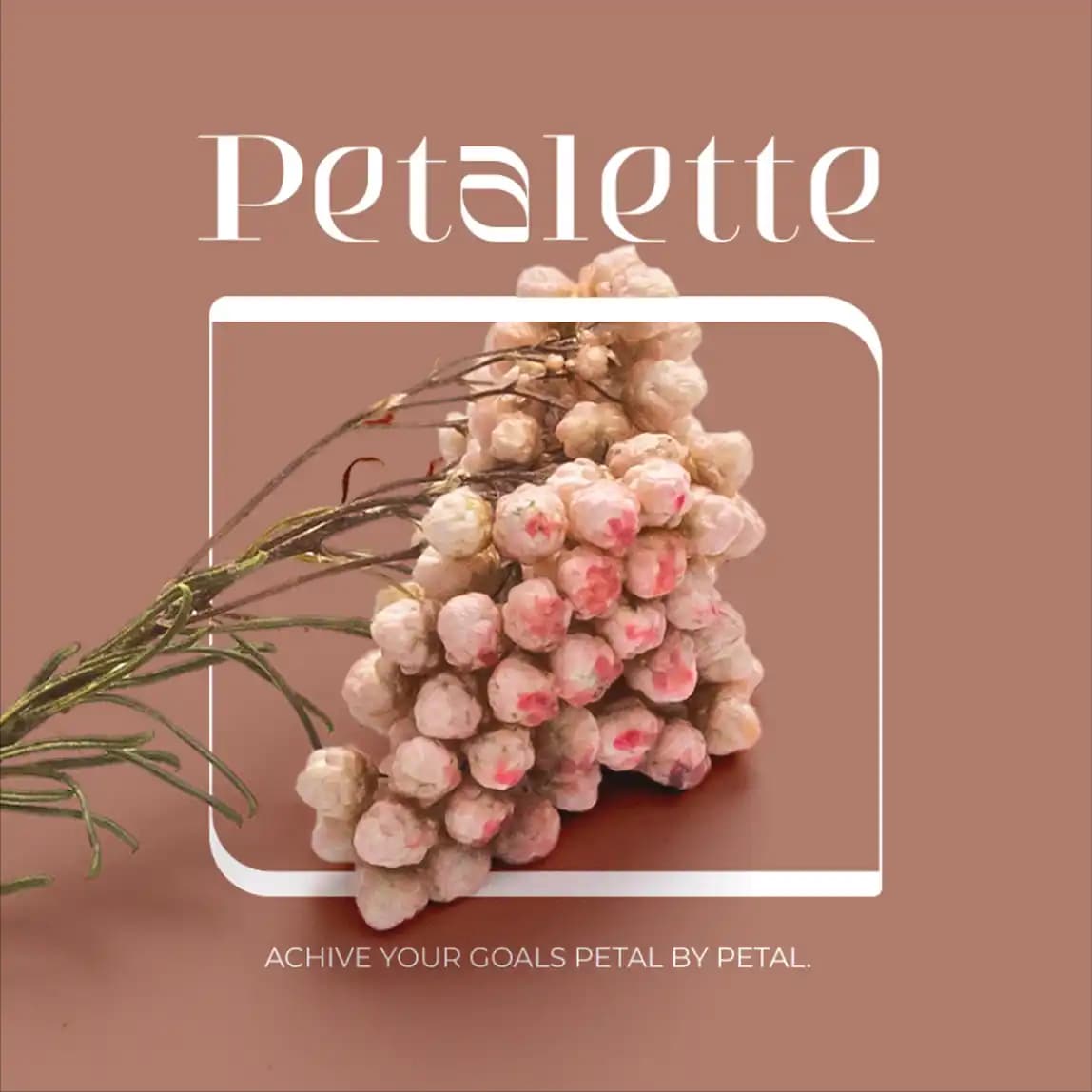 Petalette Image