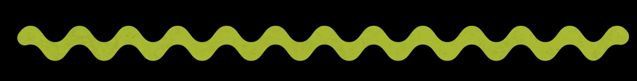 Reference Image