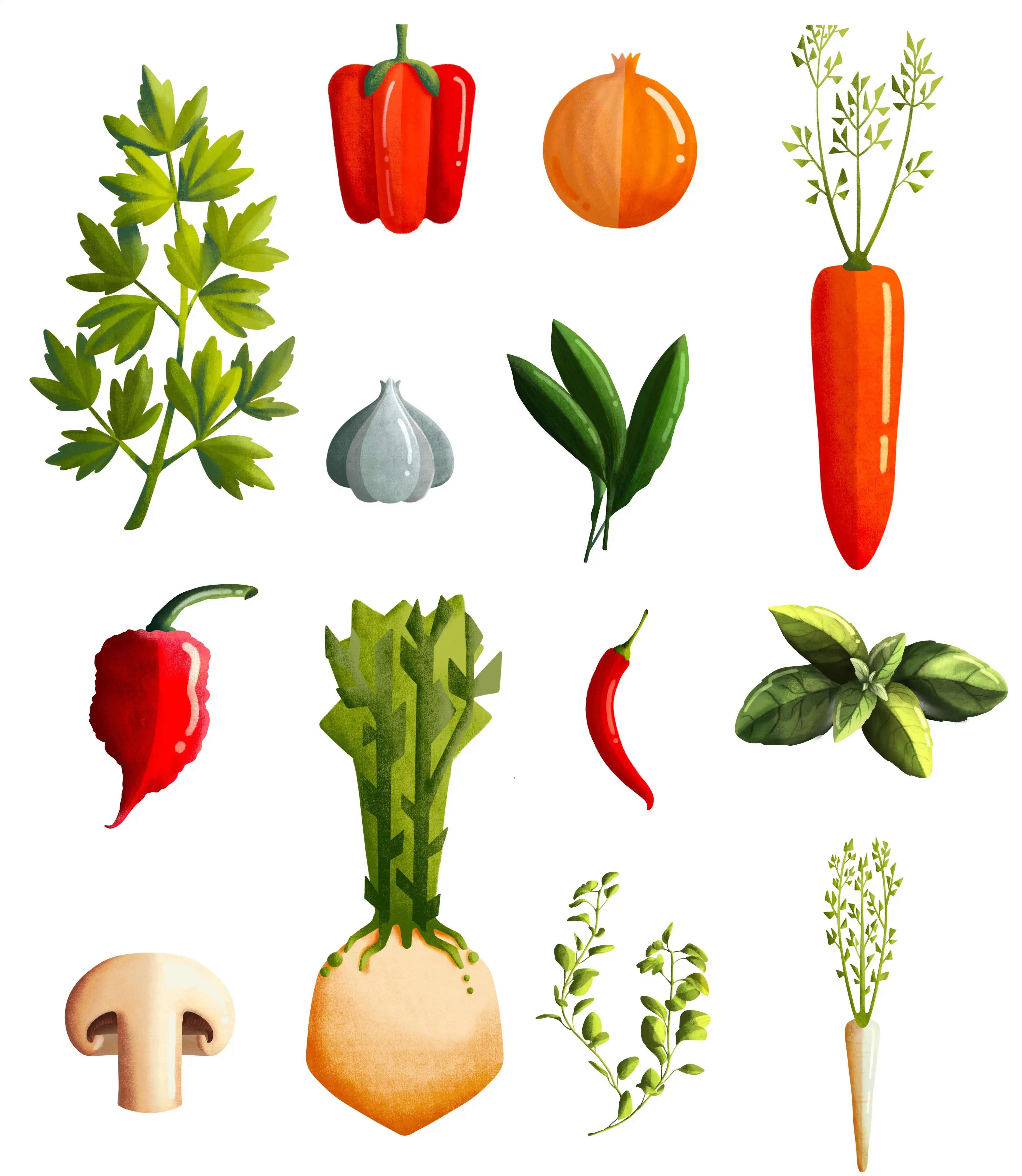 Reference Image